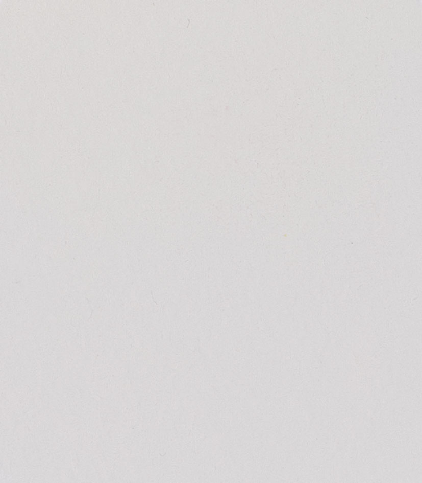 titanium opaque white