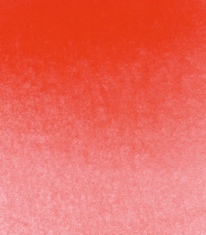 geranium red