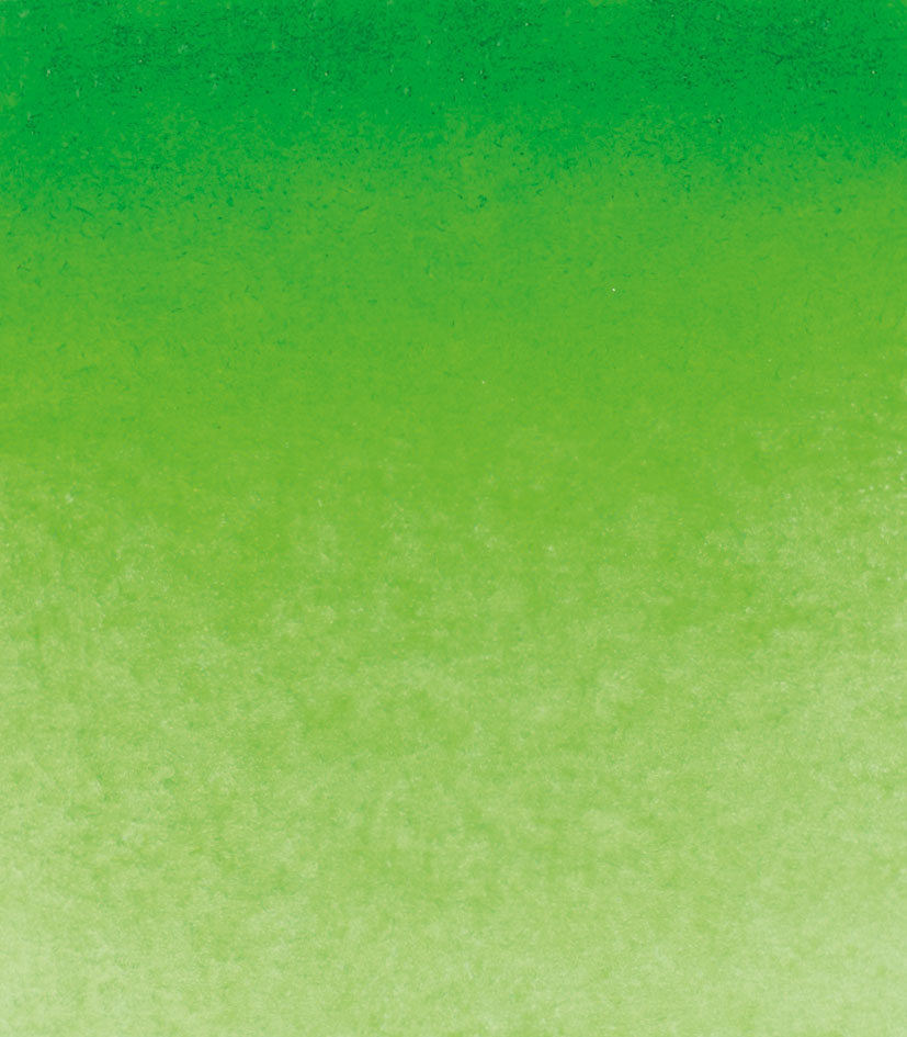 permanent green