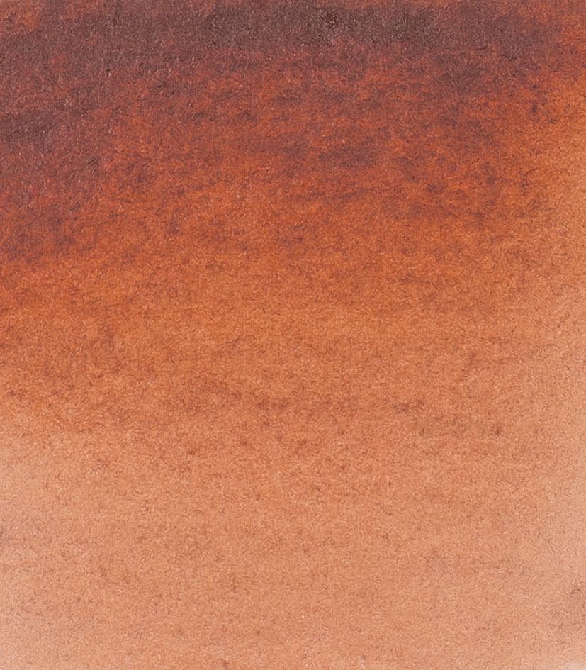 maroon brown