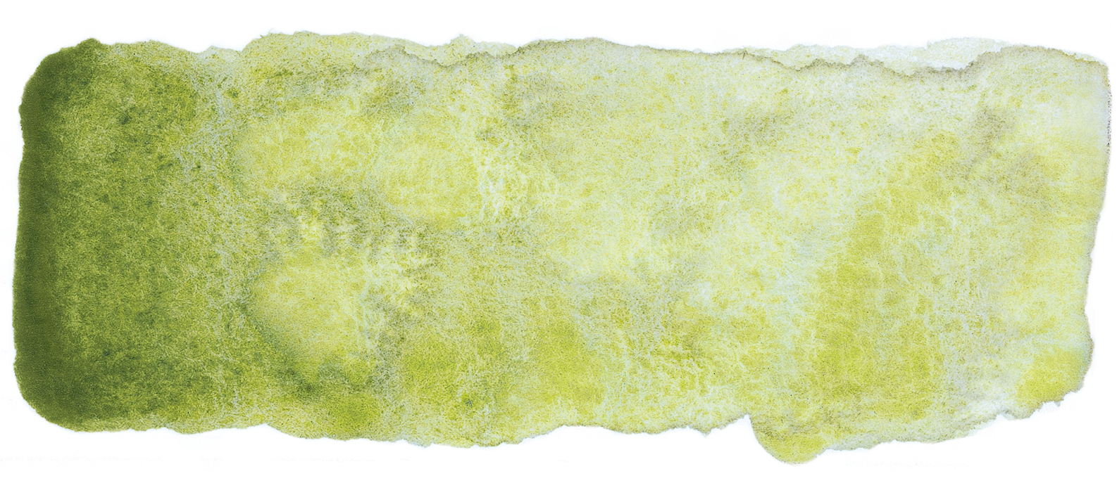 shire olive