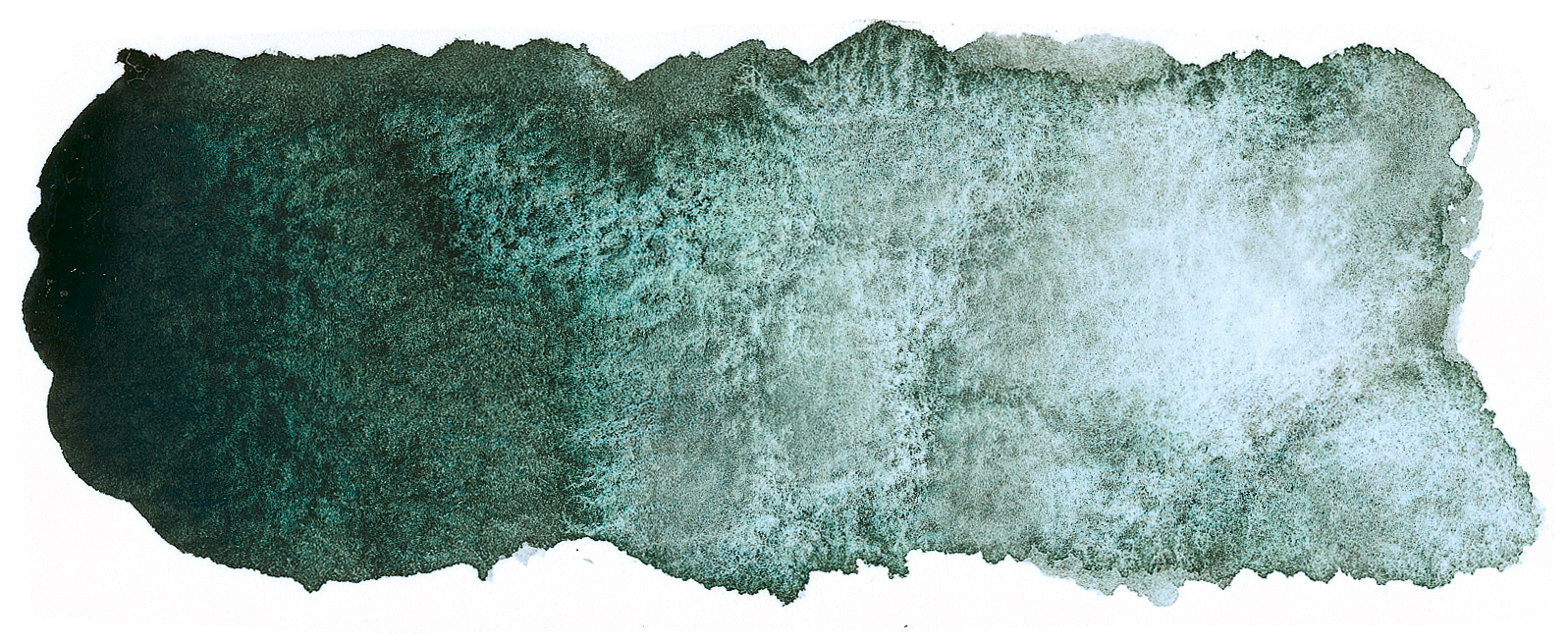forest blue