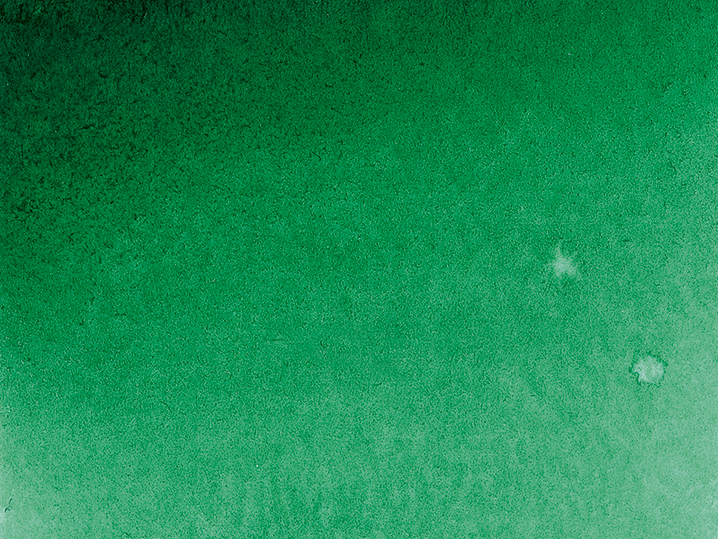 permanent green