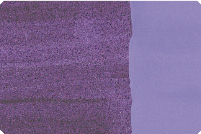 blue violet