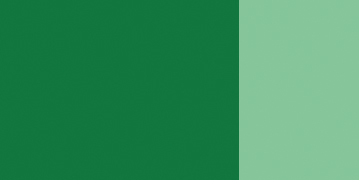 fir green