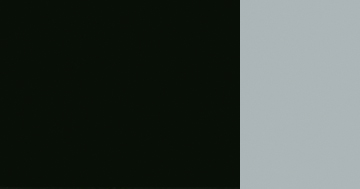 ivory black