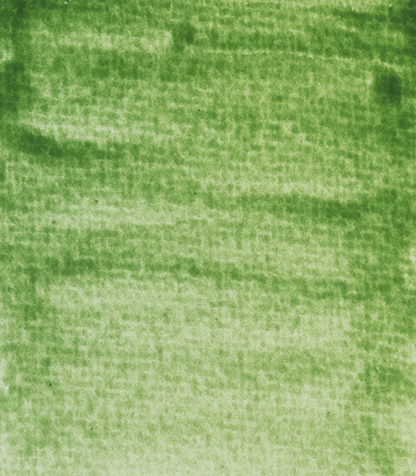 Dyers‘ green